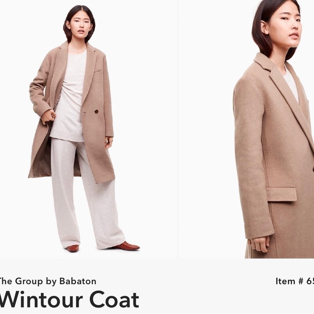 Aritzia The Group by Babaton Wintour Coat​